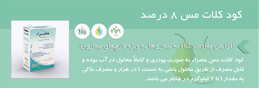 کود کلات مس خضراء