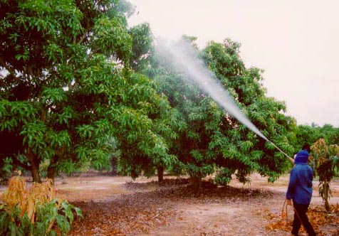 محلول پاشی