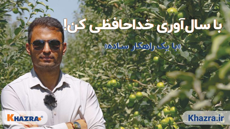 سال‌آوری باغ سیب