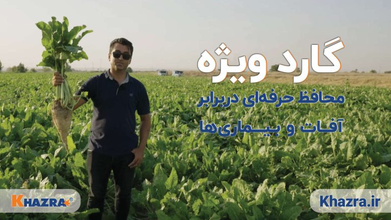محافظت حرفه‌ای در برابر آفات و بیماری‌ها