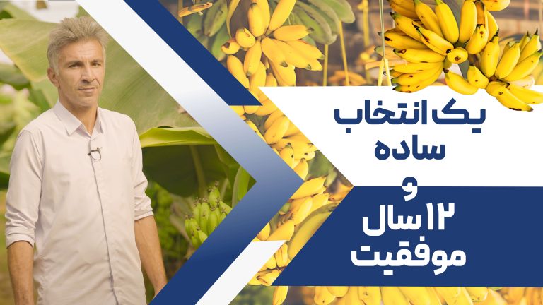 یک انتخاب ساده و 12 سال موفقیت