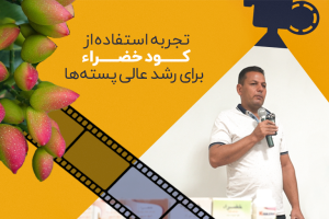 اقای سعیدی
