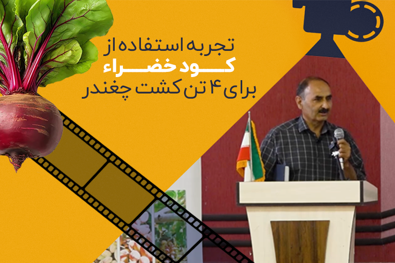 تجربه استفاده از کود خضراء برای 4 تن کشت چغندر