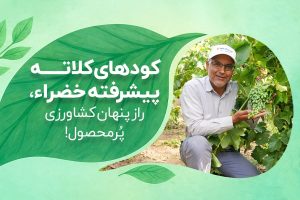نورالله احمدی
